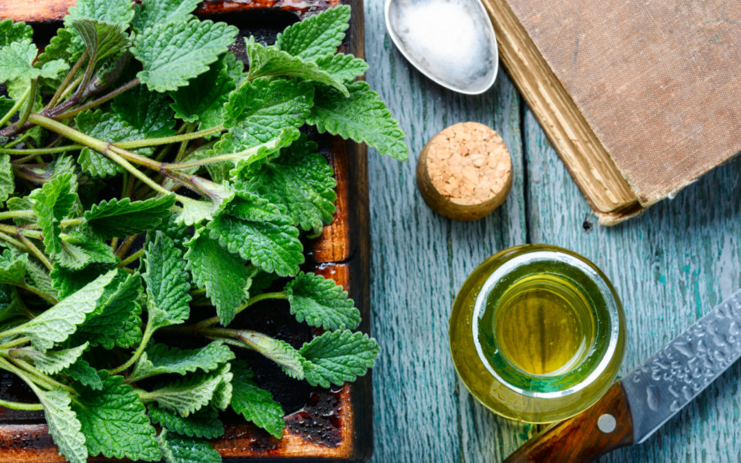 Use Of Essential Oils – Peppermint