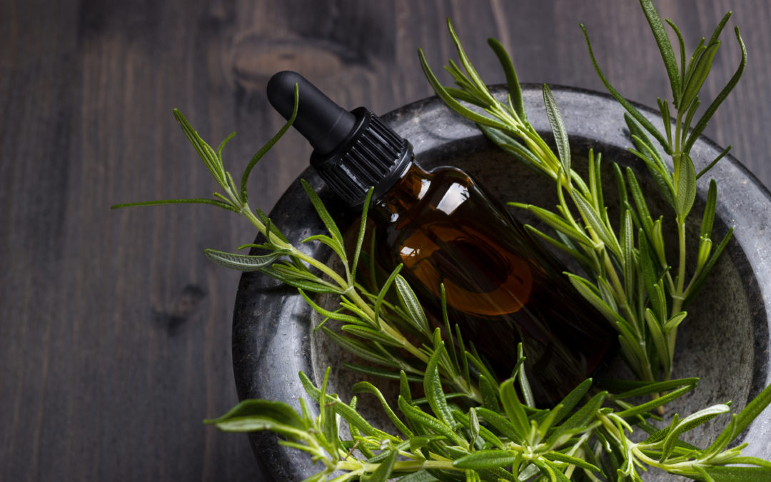 Daily Use Of Essential Oils – Rosemary
