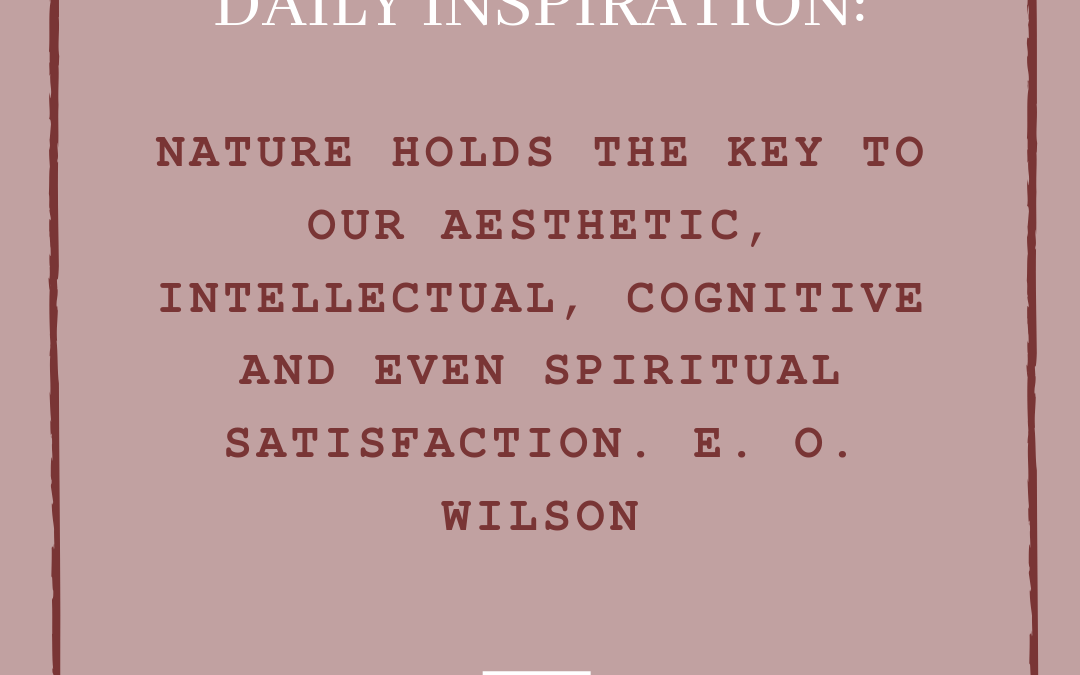 Daily Inspiration
